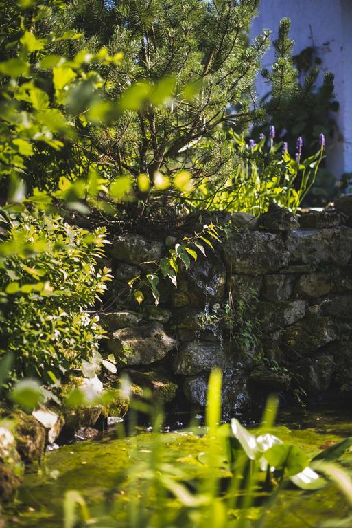Rimont Domaine De Terrac Bed & Breakfast エクステリア 写真