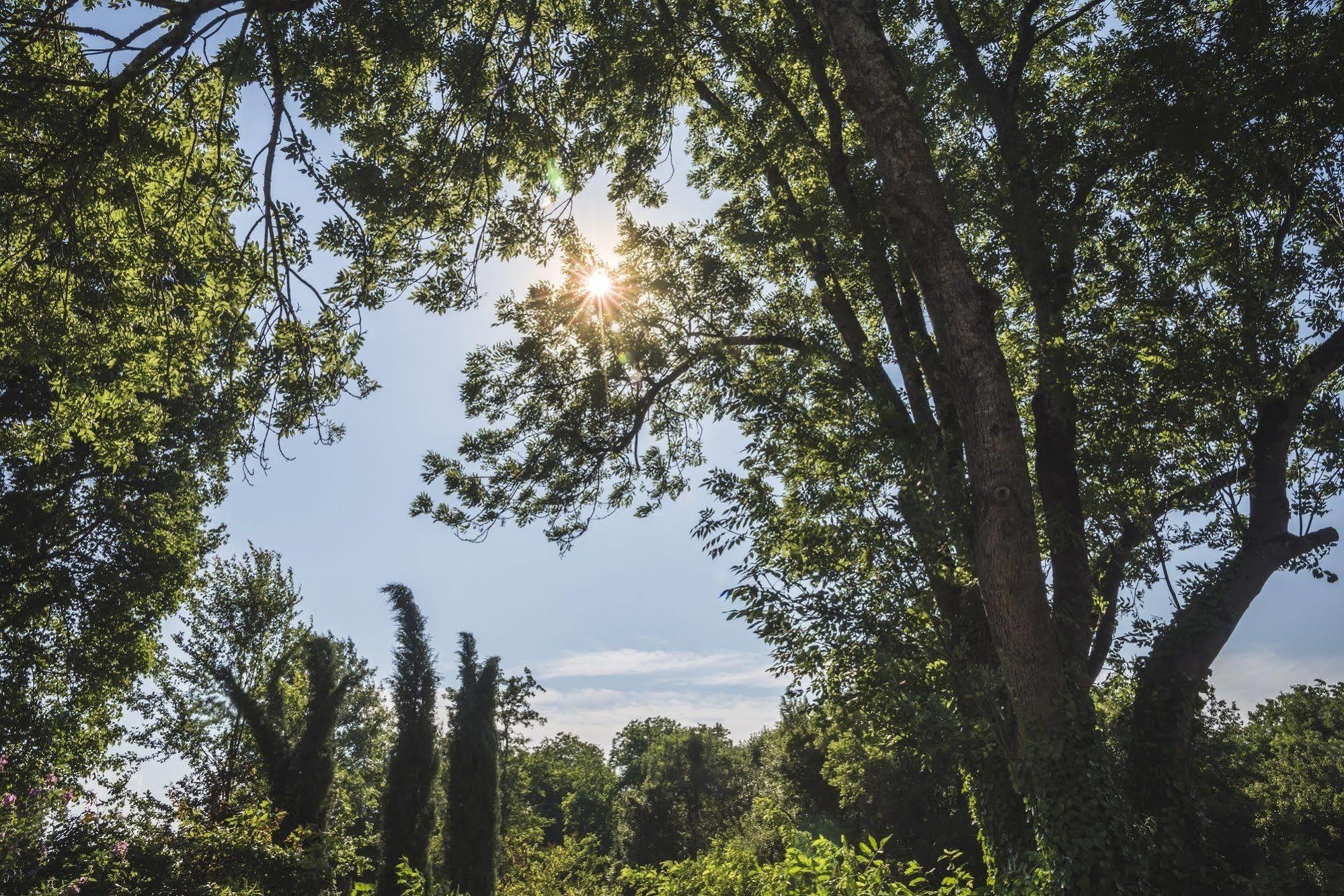 Rimont Domaine De Terrac Bed & Breakfast エクステリア 写真