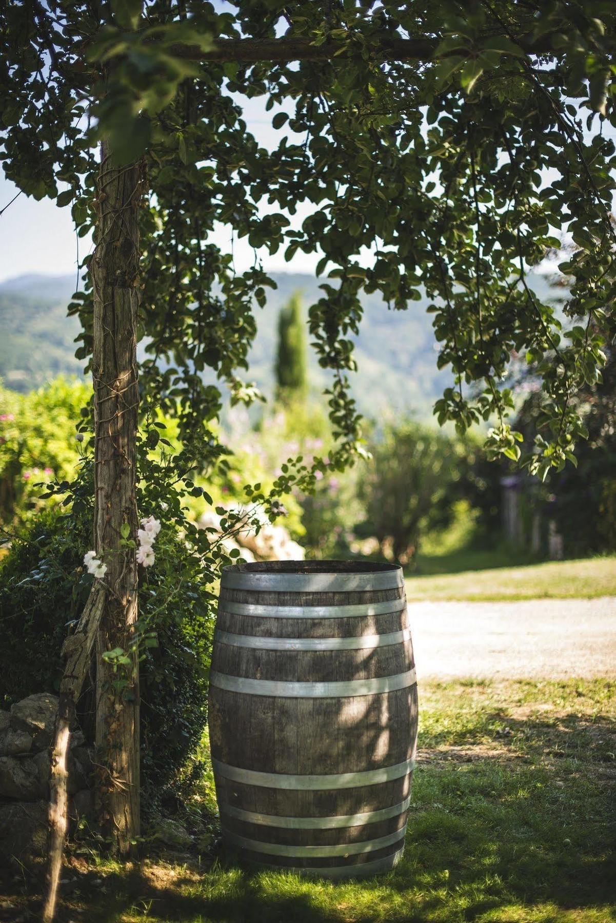 Rimont Domaine De Terrac Bed & Breakfast エクステリア 写真